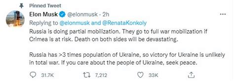 elon musk comments on ukraine